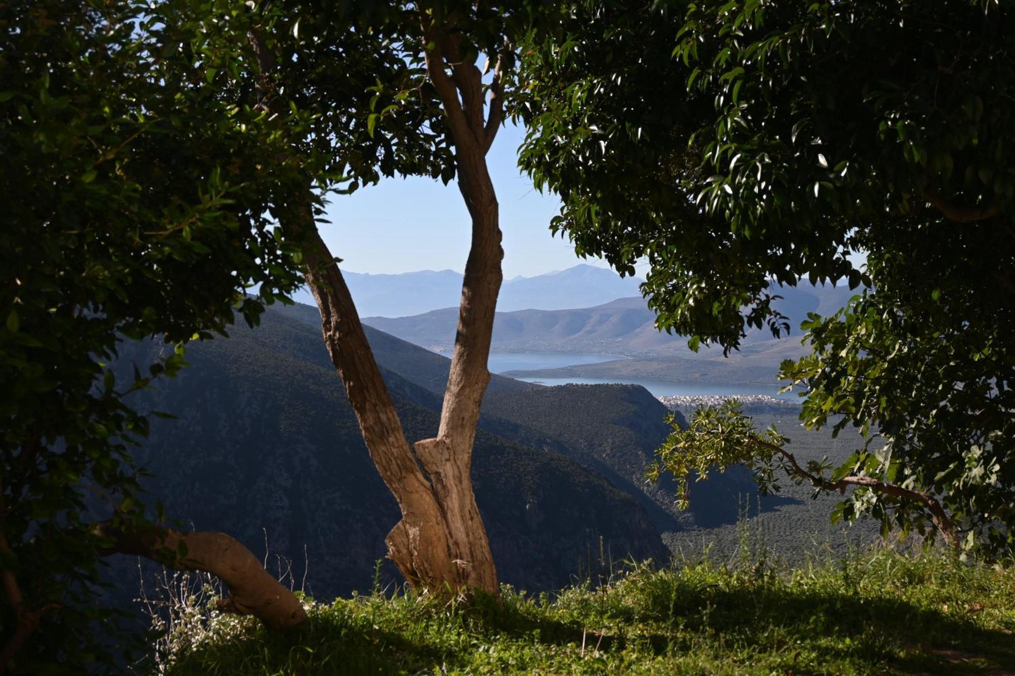 Komody Delphi Exteriér fotografie